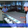 150W Mono Solar Panels with Certification of Ce, CQC and TUV for Solar Pump